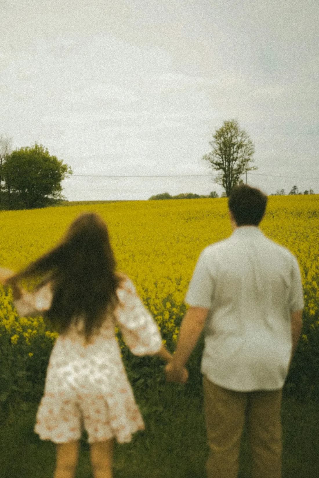 Una niña y un hombre caminan por un campo de flores amarillas